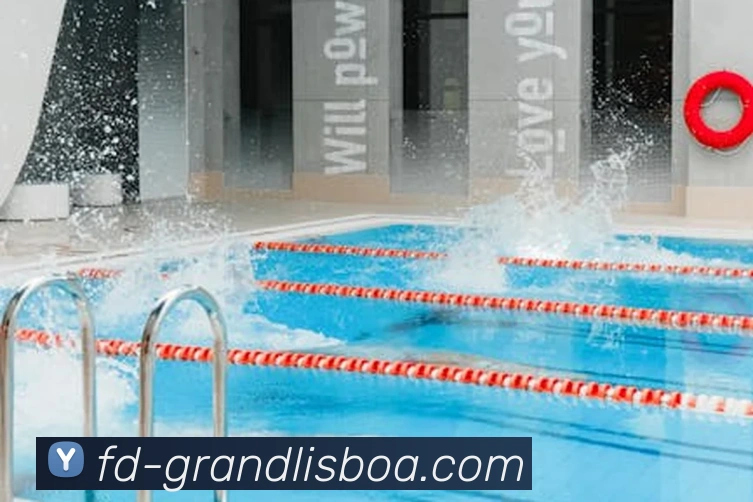 多媒体互动体验